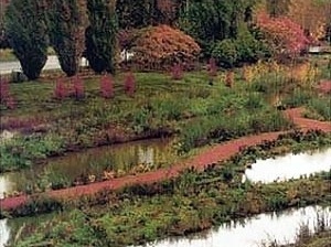 Sistema de lagoas de contenção