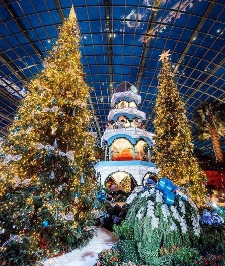 Flower Dome – Decoração de Natal 2016, Singapura