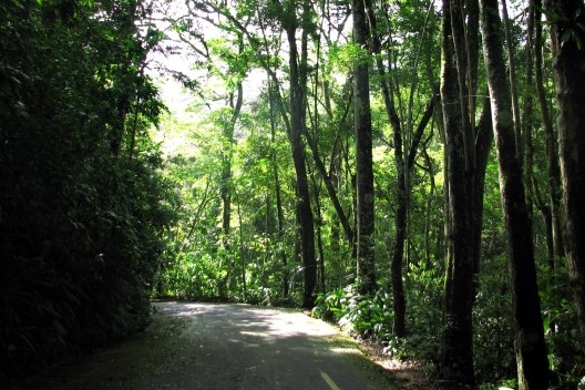 Estrada no interior do PNT.