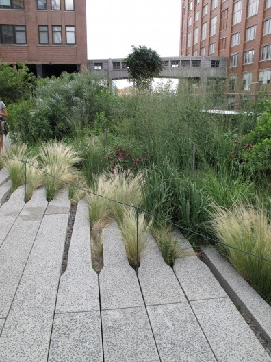 Vida urbana na High Line