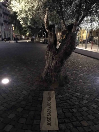 Revitalização urbana no Campo das Cebolas/Fundação José Saramago, outubro de 2017