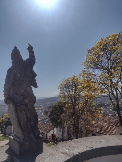 Ipês-amarelos de Congonhas no Santuário do Senhor Bom Jesus de Matosinhos
