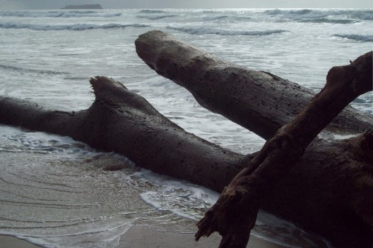 Praia da Joaquina, Florianópolis, março de 2011