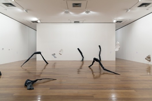 Exposição “Marcia Pastore: contracorpo”, Pinacoteca do Estado, 2019-2020
