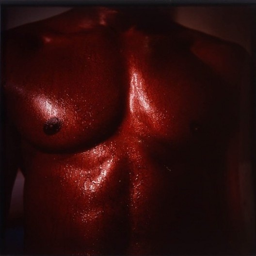 Wax, Wood and Flash, 1993-1996, fotografia Cibachrome, foto de Miguel Rio Branco