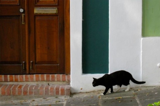 Pintura colorida nas fachadas das casas porto-riquenhas do século 19