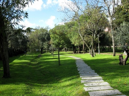 Em 2011 o gramado já produz o tapete verde do Parque