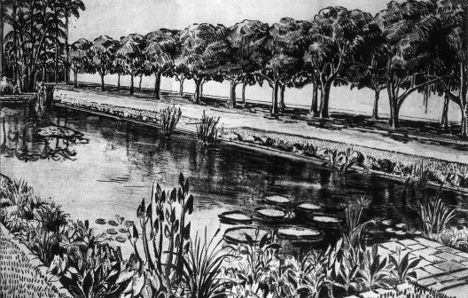 Jardins de Casaforte, Recife PE, paisagista Roberto Burle Marx. Desenho dos jardins de Casaforte, onde Burle Marx , pela primeira vez, usa vegetação amazônica como critério de valorização da flora autóctone do Brasil