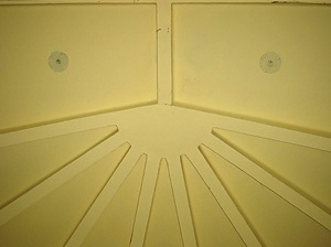 Detalhe das nervuras