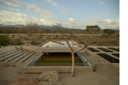 Vivero Guayacán