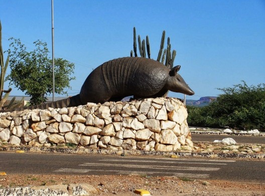 Quem nos recebe em São Raimundo Nonato – porta de entrada da Serra da Capivara – é o tatu...