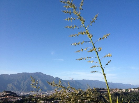 Caracas vista de El Volcán