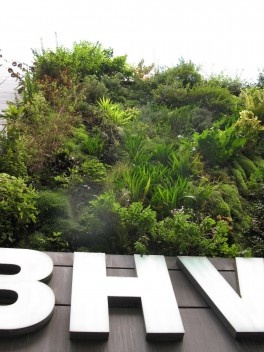 Detalhe do \"painel verde\" de Patrick Blanc para a rede de lojas BHV Homme em Paris, (concluído em 2007)