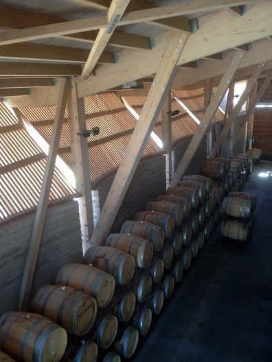 Vinícola Emiliana Organics, Vale de Colchagua, arquiteto José Cruz Ovalle