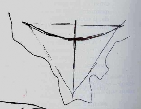 Imagem 1. Croqui do partido adotado para o Plano Piloto, feito por Lúcio Costa