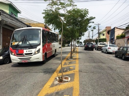 Rua Patrocínio Paulista, arborização no asfalto, Cidade Patriarca, São Paulo