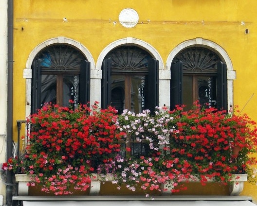 Janela em arco pleno, Veneza