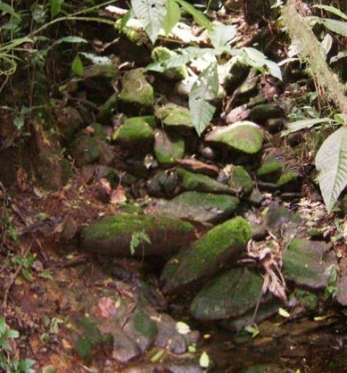 local atual da nascente nº 3