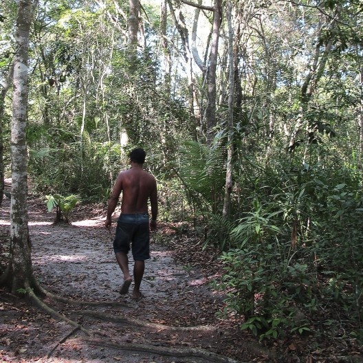 Aldeia Piraquêaçu, trilha na mata