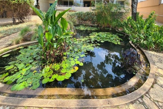 Paisagismo frontal projetado por Burle Marx