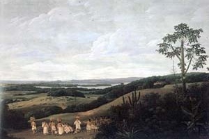Paisagem Brasileira, Frans Post. Óleo sobre madeira