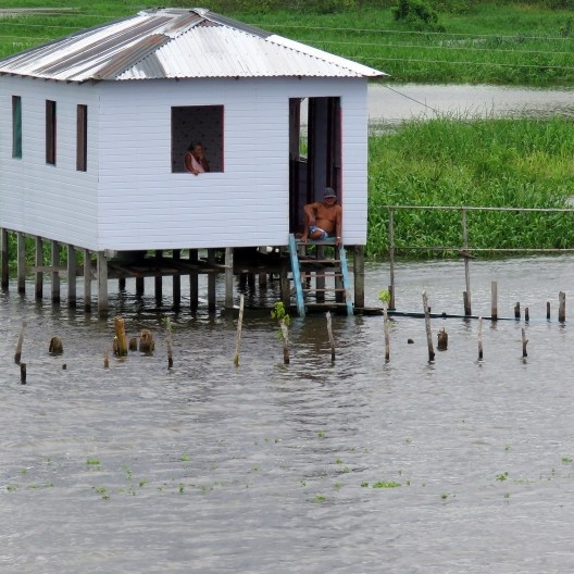 Margem do Rio Amazonas
