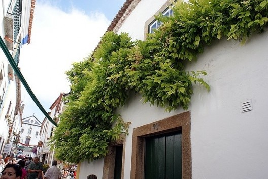 Casario com fachadas adornadas com vegetação