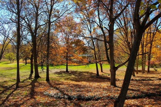Farnsworth House: Vista de aproximação à Face Norte