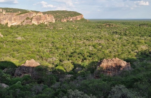 ... mistérios arqueológicos espantam e desafiam a Ciência.