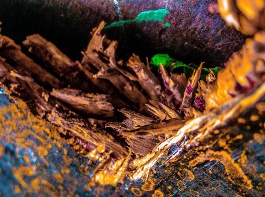 Exposição “As mãos que restauram o tempo: um olhar fotográfico”, módulo Detalhes, curadoria de Luiz Antonio Lopes de Souza