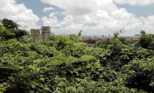 Paisagem urbana do Recife vista a partir da Casa-atelier