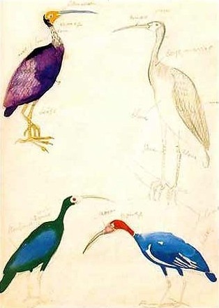 Exposição John Graz, imagem reproduzida do folder