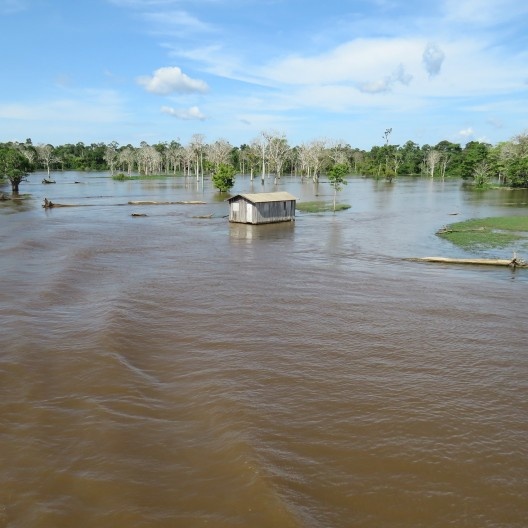 Margem do Rio Amazonas