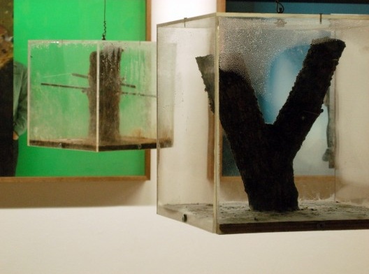 Enxertos, instalação artística de Carlos Teixeira, Fernando Maculan e Leonardo Costa Braga