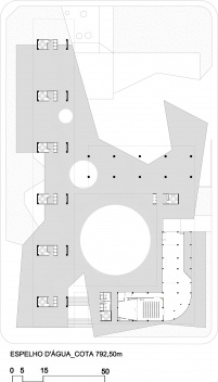 Planta espelho d' água