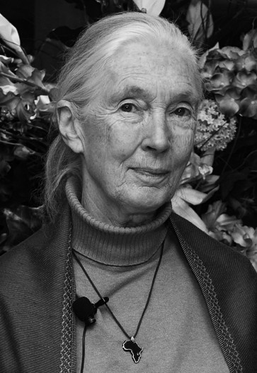 Jane Goodall (1934–)