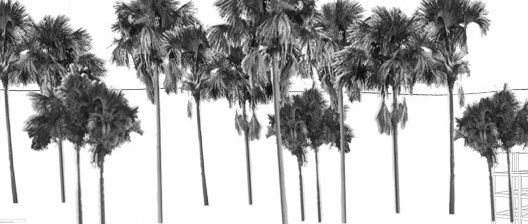 Brasília retomada pelo Cerrado