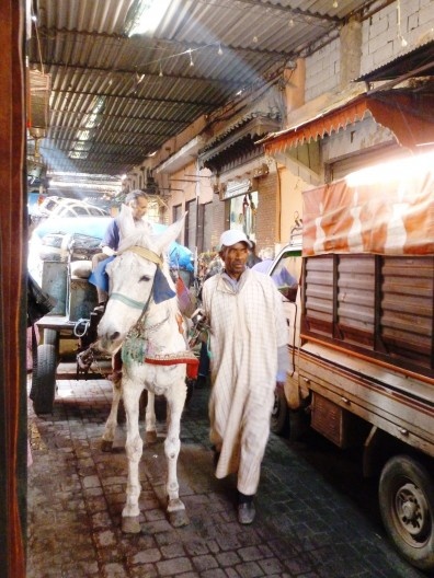 Trânsito de carroças no “Souk”