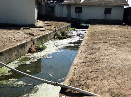 Esgoto a céu aberto em Presídio, passando por baixo das celas