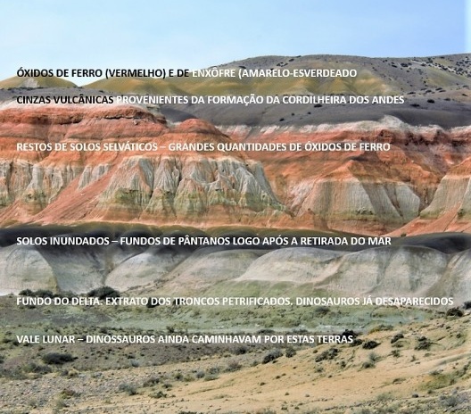 Extratos geológicos. Bosque Petrificado, Sarmiento, Estado de Chubut, Argentina