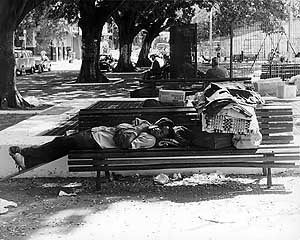 Foto Andréa Ramos Rosa