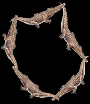 O círculo dos privilegiados, entre arquitetos e urbanistas, é uma denominação para o grupo que monopoliza o projeto urbano de Brasília, tercerizando funções de governo, em benefício próprio e dos especuladores, políticos e incorporadores – mas destruindo