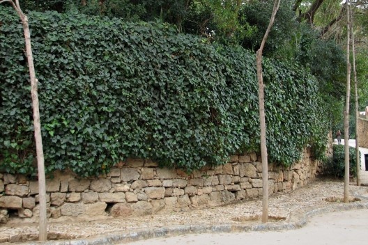Hera sobre muro de contenção na rua mais baixa do parque, próximo à entrada pela Calle Olot.