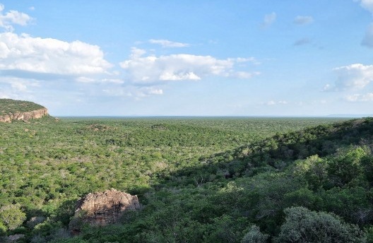 No mar de verde, a chapada revela ilhas de pedra: aqui...