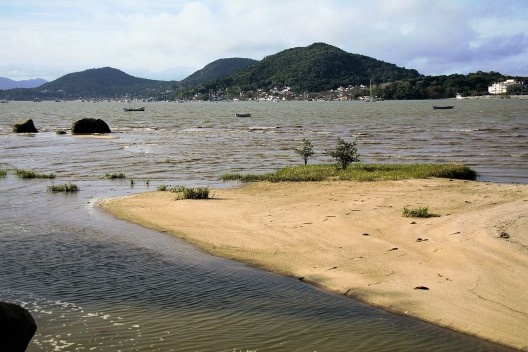 Subida da maré inundando colônia do capim-praturá