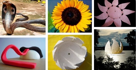 À esquerda, exercício analógico com cobra naja como fonte; à direita, exercício com girassol como fonte. Trabalhos dos alunos