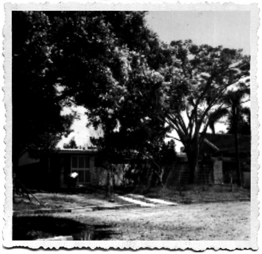 Casa de Ipanema, projeto original, Moacyr Moojen Marques, 1958