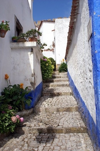 Ladeira florida entre casarios caiados de branco e azul