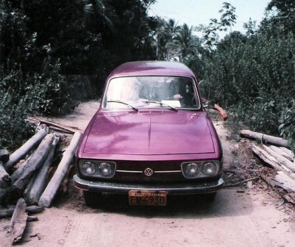 \"Sonho de Valsa\", Variant lilás de Valdir Zwetsch