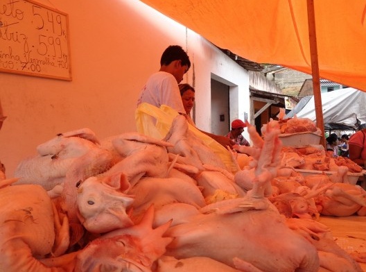 Feira em Branquinha